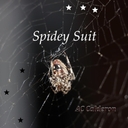 Spidey Suit 🕷️🕸️