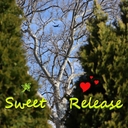 Sweet Release 💐☀️